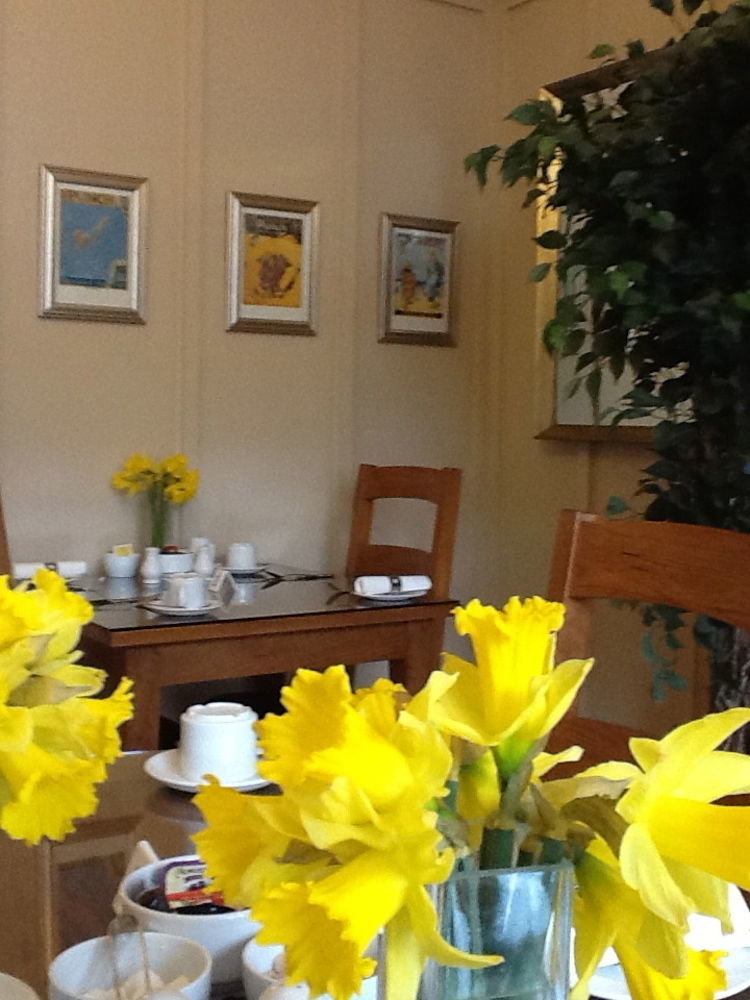 The Groveside Guest House 시드머스 외부 사진